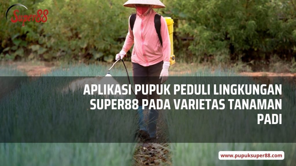 aplikasi pupuk peduli lingkungan - pupuk super88