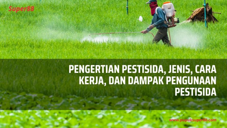 Pengertian Pestisida, Jenis, Cara Kerja, Dan Dampak Pengunaan Pestisida