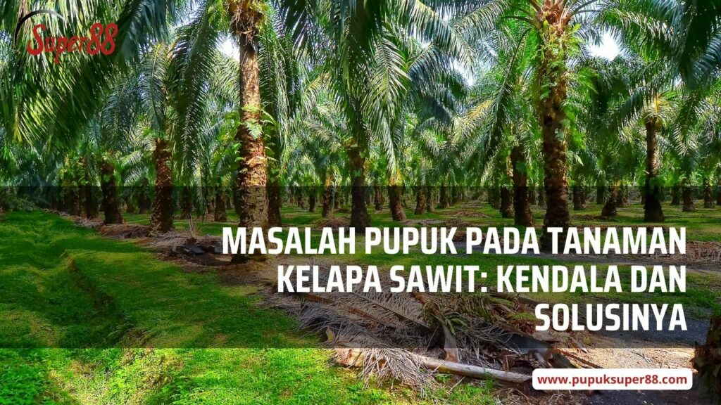 Masalah Pupuk pada Tanaman Kelapa Sawit, Kendala dan Solusinya