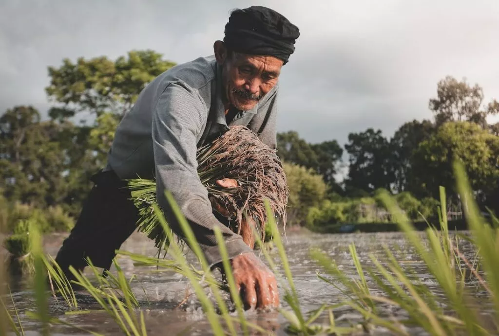 Kunci Sukses Usaha Pemasaran Hasil Tani