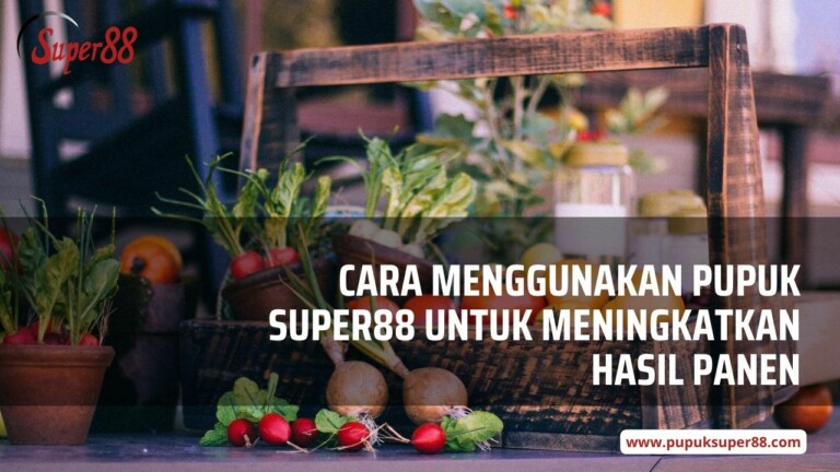 Cara Menggunakan Pupuk Super88 untuk Meningkatkan Hasil Panen