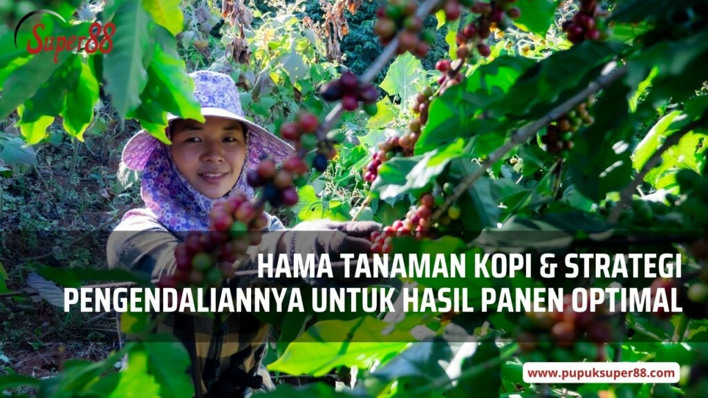 Hama Tanaman Kopi dan Strategi Pengendaliannya untuk Hasil Panen Optimal