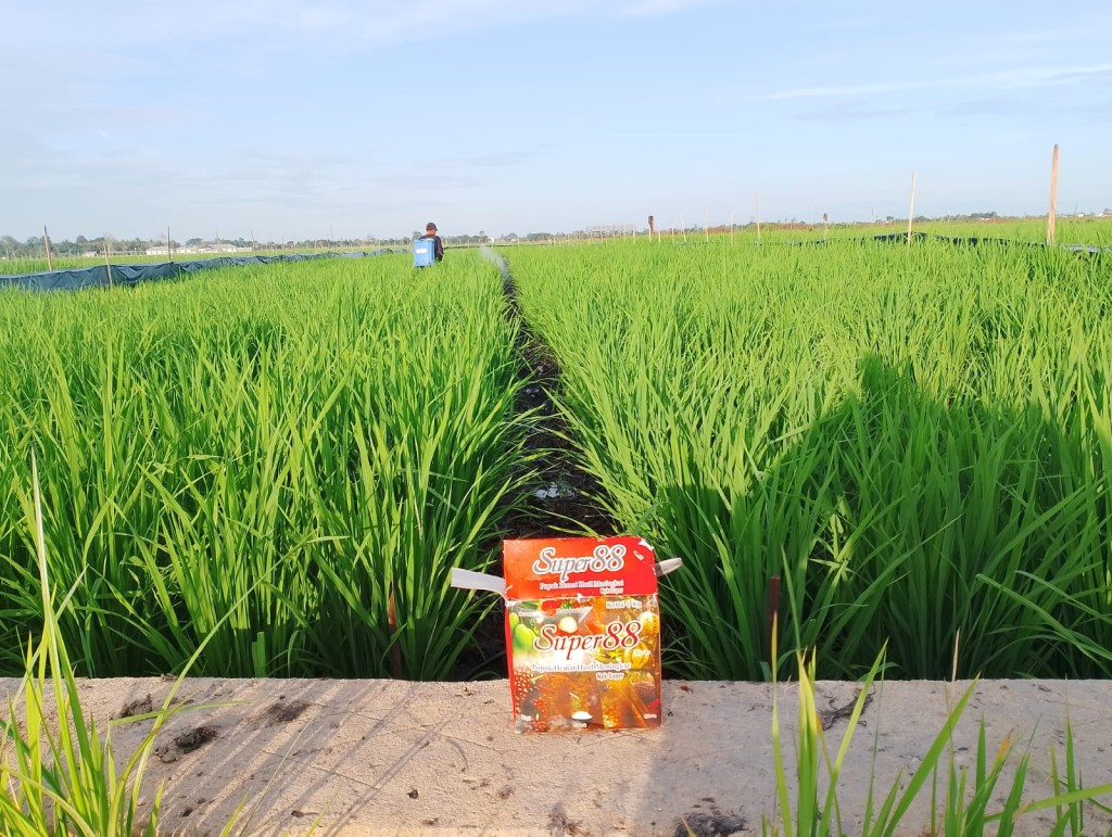 peluang pertanian di indonesia