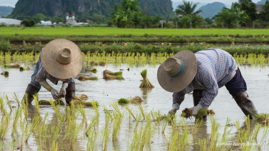 5 tantangan utama petani indonesia